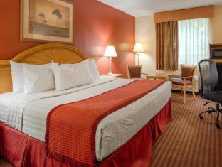 Best Western Center Inn Virginia Beach Room photo